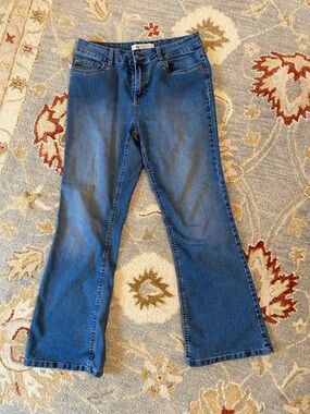 Classic Blue Flare Jeans by Wind River